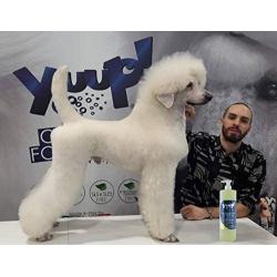 YUUP! Italy Home & Professional Shampoo for Dogs and Cats of All Types of Coats - Cleansing and Moisturizing, Ideal for Frequent Use(17 oz/ 33.8 oz)