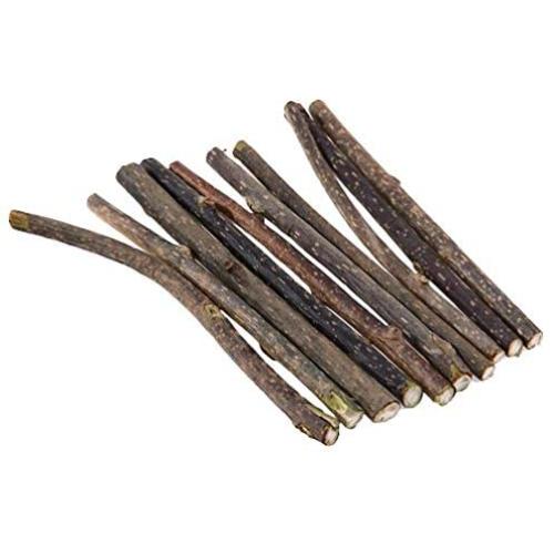 5/10/15/20 pcs Pure Natural Catnip Pet Cat Toy Molar Toothpaste Branch Cleaning Teeth Silvervine Cat Snacks Sticks Pet Supplies