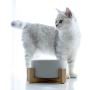 ZYYRT Ceramic Raised Dog Bowl Basic Cat Food Bowl Water Dish with Anti-Slip Wooden Stand for Dogs and Cats, Dishwasher Safe