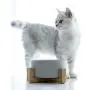 ZYYRT Ceramic Raised Dog Bowl Basic Cat Food Bowl Water Dish with Anti-Slip Wooden Stand for Dogs and Cats, Dishwasher Safe ZYYRT Ceramic Raised Dog Bowl Basic Cat Food Bowl Water Dish with Anti-Slip Wooden Stand for Dogs and Cats, Dishwasher Safe