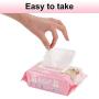 Deodorizing Hypoallergenic Pet Wipes with Fragrance Free Natural Organic for Cleaning Face Butt Eyes Ears Paws Teeth 100ct per Pack