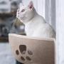 Blusea Cat Pet Window Bed, Cat Window Perch, Cat Hammock Window Seat, Cat Bed for Cats