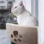 Blusea Cat Pet Window Bed, Cat Window Perch, Cat Hammock Window Seat, Cat Bed for Cats Blusea Cat Pet Window Bed, Cat Window Perch, Cat Hammock Window Seat, Cat Bed for Cats