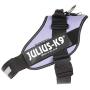 Julius-K9, 16IDC-PR-2, IDC Powerharness, dog harness, Size: 2, Purple