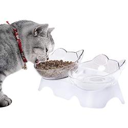 Double Dog Cat Bowls with Raised Stand, Dog Cat Food and Water Bowls, 15 Degree Tilted Pet Bowl Stress-Reduce Neck Pain for Cats and Small Dogs