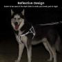 BELPRO Dog Harness No Pull, Reflective Vest Harness with 2 Metal Leash Hooks,Adjustable Soft Padded Pet Vest for Small Medium Large Dog