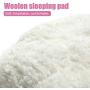 ZolooPet Felt Cat Cave Wool mat Warm and Comfortable Bed for Small Cat