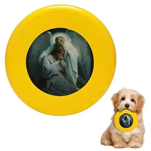 Pet Frisbee Flying Disc Dog Toy - Multifunction Agony in The Garden Frans Schwartz Pet Frisbee Flying Disc Dog Toy - Multifunction Agony in The Garden Frans Schwartz