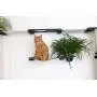 CatastrophiCreations Cat Mod Garden Complex Handcrafted Wall Mounted Cat Tree Shelves with Planter for Cat Grass, English Chestnut/Natural, One Size CatastrophiCreations Cat Mod Garden Complex Handcrafted Wall Mounted Cat Tree Shelves with Planter for Cat Grass, English Chestnut/Natural, One Size