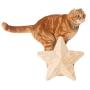 MYZOO Twinkle Star, Cat Tree, Scratcher Made of Solid Wood Modern Furniture Design,Also Suitable for Kitten