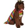 Rubies Pet Costume, Large, Mexican Serape