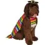 Rubies Pet Costume, Large, Mexican Serape Rubies Pet Costume, Large, Mexican Serape