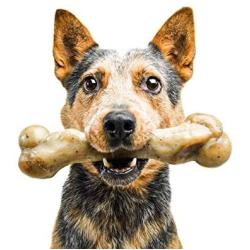 Pet Qwerks Zombie NYLON BarkBone - Chew Toy for Aggressive Chewers, Tough Durable Extreme Power Chewer Bone | Made in USA -  Available in 2 Flavors and 4 Sizes