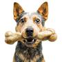 Pet Qwerks Zombie NYLON BarkBone - Chew Toy for Aggressive Chewers, Tough Durable Extreme Power Chewer Bone | Made in USA -  Available in 2 Flavors and 4 Sizes