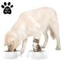 PETMAKER Pet Bowls – Raised Stainless Steel & Plastic Nonslip Rubber Bottom Food & Water Station for Pets