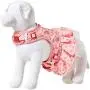 Blueberry Pet 2021 New 3 Patterns Soft & Comfy Spring Scent Inspired Floral Dog Harness Dresses Blueberry Pet 2021 New 3 Patterns Soft & Comfy Spring Scent Inspired Floral Dog Harness Dresses