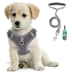 KITTYWOO Dog Harness Leash Set No Pull Dog Harness Puppy Padded Mesh Vest with Leash Set Easy Put On & Take Off Vest Harness for Small to Large Breed Pets