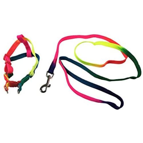 Rainbow Flag Small Dog Harness and Leash Gay Pride