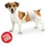 Four Paws Wee-Wee Disposable Male Dog Wraps 12 Count X-Small / Small