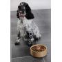 Mason Cash Cane Ceramic Dog Bowl, 6-inch
