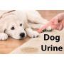 Blue Marble Eliminates Urine Odors and Stains. Professional Strength Urine Eliminators Natural Enzymes Effectively Gets Rid of Urine Odors and Stains Caused by Cats, Dogs and People - It Works.