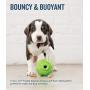Planet Dog Orbee-Tuff Foodies - Life-Size Chew Dog Toy with Treat Spot