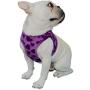 Lanyar Fleece Soft Vest Harness No Pull Harness for Cat Dog Pet,Size Runs Smaller,Small fits Pets 2-4 Pound,Medium 6-10 Pound,Large 10-14 Pound