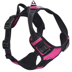 EXPAWLORER Best No-Pull Dog Harness - Reflective Outdoor Adventure Pet Vest with Handle