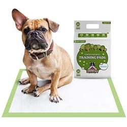 Pogis Training Pads (20-Count) (24x24in) - Large, Super-Absorbent, Earth-Friendly Puppy Training Pads for Small to Medium Sized Dogs