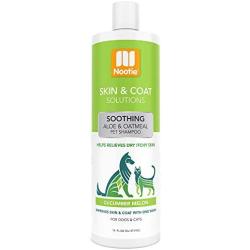 Nootie- Pet Shampoo, 1 Unit,16oz,Cucumber Melon