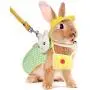 2 Sets Small Animal Harness Vest and Leash Set Small Pet Chest Harness Vest Walking Vest Harness for Rabbit Ferret Guinea-Pig Bunny Hamster Teacup Poodle Kitten (Yellow Pineapple and Green Plaid) 2 Sets Small Animal Harness Vest and Leash Set Small Pet Chest Harness Vest Walking Vest Harness for Rabbit Ferret Guinea-Pig Bunny Hamster Teacup Poodle Kitten (Yellow Pineapple and Green Plaid)