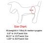 vecomfy Dog Diapers Female for Medium Dogs,(3 Pack) Premium Washable Reusable Leakproof New Born Puppy Nappies,L