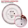 Cat Interactive Toys for Indoor Cats, Automatic Electronic Rotating Butterfly Toy with Roller Tracks Ball, Kitten Exercise Hunting Toy Games for Cats Pet, 2 Butterfly Replacements (Pink) Cat Interactive Toys for Indoor Cats, Automatic Electronic Rotating Butterfly Toy with Roller Tracks Ball, Kitten Exercise Hunting Toy Games for Cats Pet, 2 Butterfly Replacements (Pink)