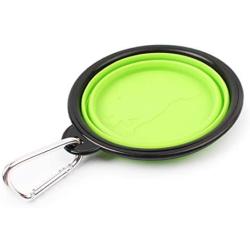 Pawfect Dog Bowl