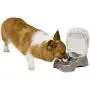 Petmate Pet Cafe Waterer Cat and Dog Water Dispenser 4 Sizes, Pearl White Petmate Pet Cafe Waterer Cat and Dog Water Dispenser 4 Sizes, Pearl White