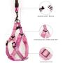 SINCHER Dog Harness No-Pull ，Pet Collar withTraining Leash，Dog Training Whistle and Ball ，Safety and Easy Control Front Small Medium Large Dogs
