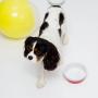 Waggo Dipper Ceramic Dog Bowl Cherry Red/White Heavyweight Durable Dog Food and Water Dish
