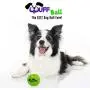 WUFF BALL - The Best Dog Ball Ever! Fun Durable Ultra Bouncy Green Fetch Dog Toy, Fits Ball Launcher WUFF BALL - The Best Dog Ball Ever! Fun Durable Ultra Bouncy Green Fetch Dog Toy, Fits Ball Launcher