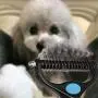 Pet Grooming Tool-Professional Dematting Comb for Dogs and Cats,Safe Undercoat Rake for Easy Mats and Tangles Removing,Keep Your Pet Away from Nasty Shedding Hair. (Blue) Pet Grooming Tool-Professional Dematting Comb for Dogs and Cats,Safe Undercoat Rake for Easy Mats and Tangles Removing,Keep Your Pet Away from Nasty Shedding Hair. (Blue)
