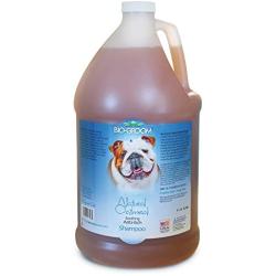 Bio-groom Natural Oatmeal Shampoo, Anti-Itch Moisturizing Shampoo, Available in 5 Sizes