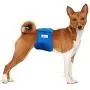 Paw Inspired 3ct Male Dog Wraps Washable, Belly Band for Dogs | Washable Dog Diapers, Reusable Male Dog Diapers for Marking (Medium (3 ct.), Assorted (White Lining))