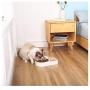 PETCARE Pets Water and Food Bowls with Automatic Water Dispenser for Small or Medium Size Dogs Cats