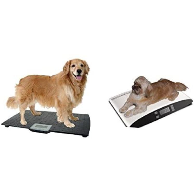 Precision Digital Pet Scales