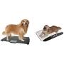 WC Redmon Precision Digital Pet Scales Professional Dog Groomer Vet Shelter - Choose Size(Small - Up to 55 lbs)