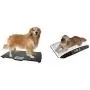 WC Redmon Precision Digital Pet Scales Professional Dog Groomer Vet Shelter - Choose Size(Large - Up to 225 lbs)