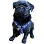 No Pull Multi-Point Adjustable No Escape Dog Harness by Fearless Pet Front Clip Back Clip Dog Harness (Blue Aztec, Small (14-20'' Girth))