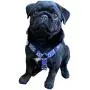 No Pull Multi-Point Adjustable No Escape Dog Harness by Fearless Pet Front Clip Back Clip Dog Harness (Blue Aztec, Small (14-20'' Girth)) No Pull Multi-Point Adjustable No Escape Dog Harness by Fearless Pet Front Clip Back Clip Dog Harness (Blue Aztec, Small (14-20'' Girth))