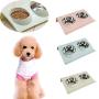 MXCELL Double Dog Bowl Pet Feeding Station, Stainless Steel Water and Food Bowls with Nonslip Raised PP Station, Premium Quality Dog Bowl Holder for Medium Dogs Cats Puppies