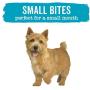Purina Beneful IncrediBites Adult Wet Dog Food Variety Pack