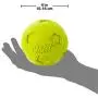 Nerf Dog Soccer Ball Dog Toys with Interactive Squeaker, Lightweight, Durable and Water Resistant, 4 Inches, For Medium/Large Breeds, Two Pack, Green and Red